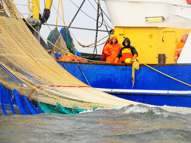 ISM Lead Auditor (Fishing) image