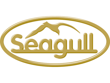 Seagull Maritime AS image